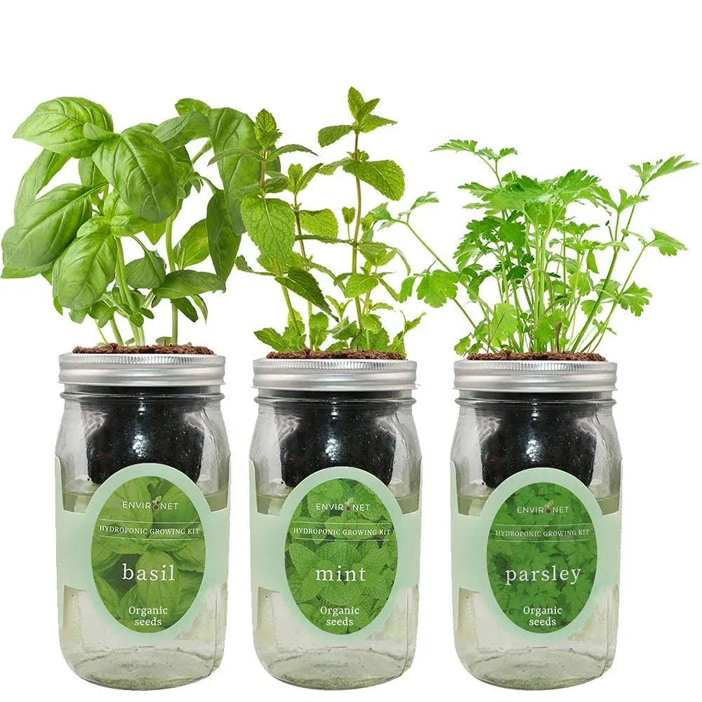 Herb Garden Trio - Mason Jar Hydroponic Kit Set with Organic Seeds (Basil, Mint ...