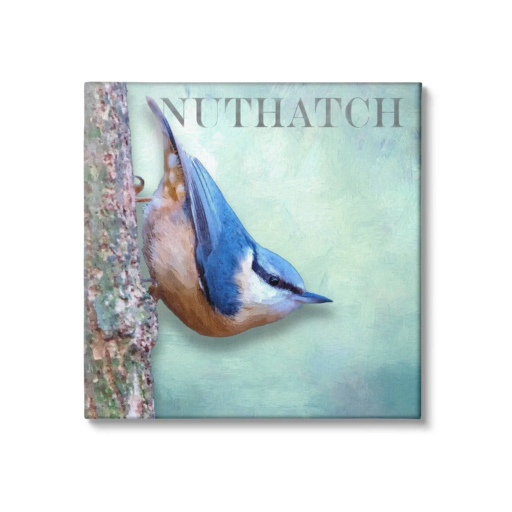 Stupell Industries Blue Nuthatch Bird Climbing Tree Forest Wildlife Canvas Wall ...