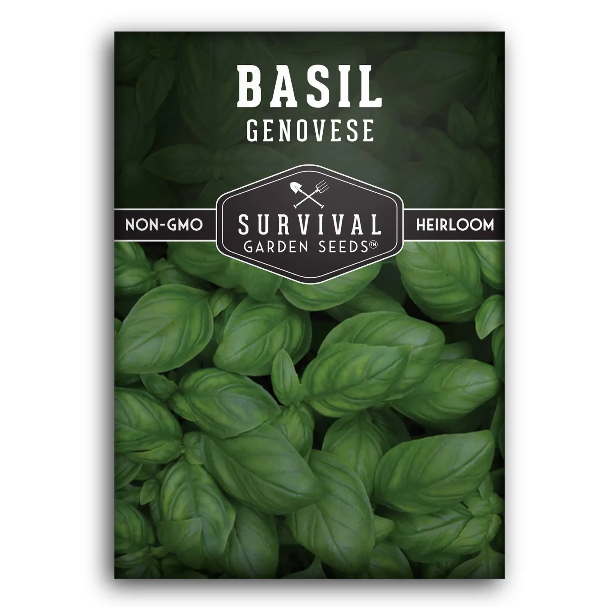 Genovese Basil Seed