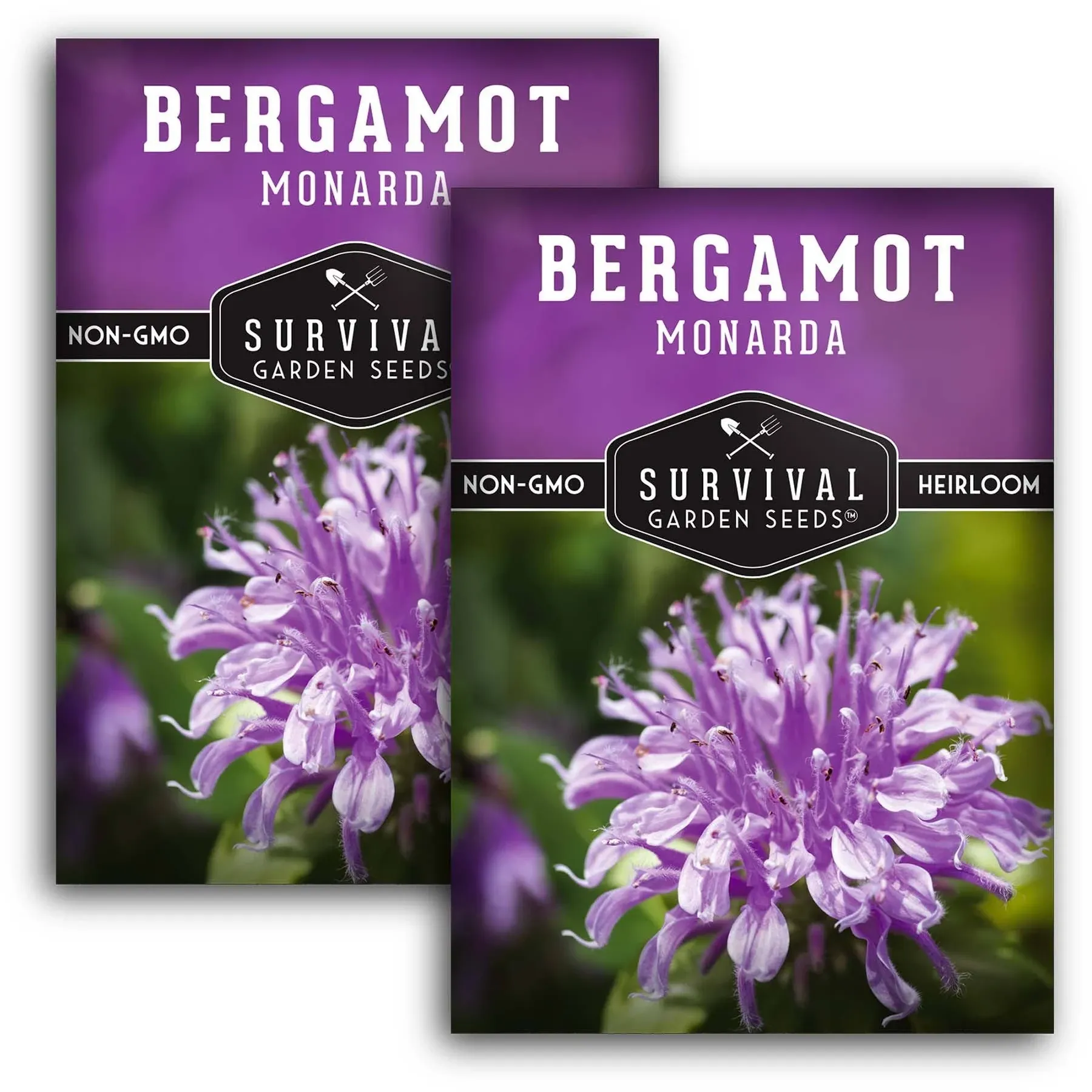 Bergamot (Bee Balm) Seeds for Planting