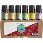 Rocky Mountain Oils The Essentials Kit - Includes Lavender, Lemon, Orange, Peppermint, Tea Tree, and Rosemary Essential Oil - Topical, and Cleaning - 5ml